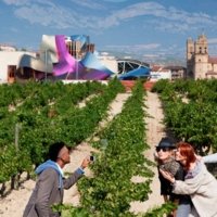 Carmen, Rioja and Basque region local expert